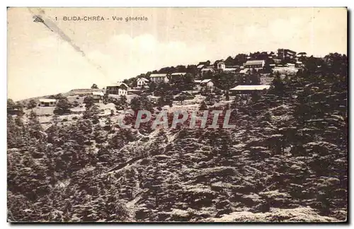 Cartes postales Algerie BLIDA-CHREA - Vue generale