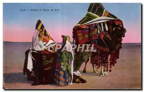 Ansichtskarte AK Algerie Scenes et Types du Sud Chameau Camel