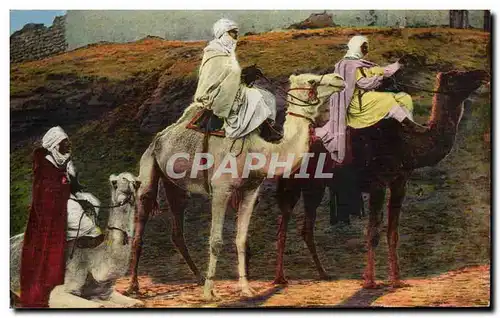 Ansichtskarte AK Algerie Chameliers Camel Chameau