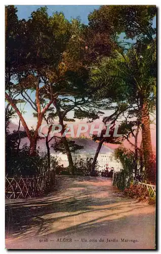 Cartes postales Algerie ALGER Un coin du Jardin Marengo