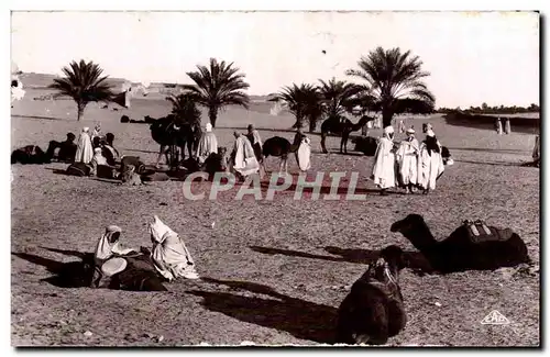 Ansichtskarte AK Algerie Une halte dans le desert Camel Chameau