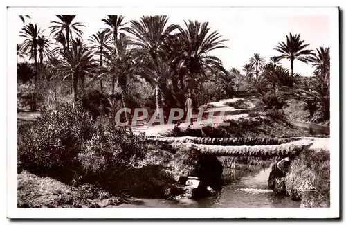 Ansichtskarte AK Algerie Pont de Palmiers