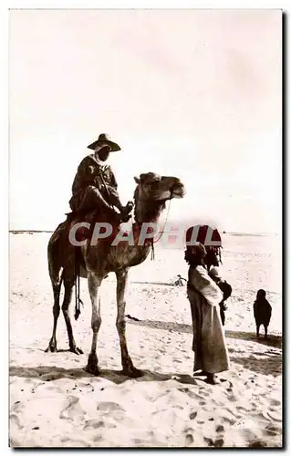 Cartes postales Algerie papotage au Sahara Camel Chameau