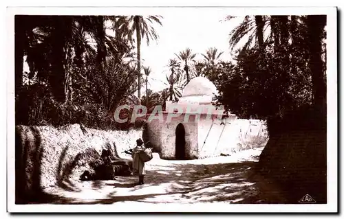 Cartes postales Algerie Scenes et Types Marabout dans I Oasis