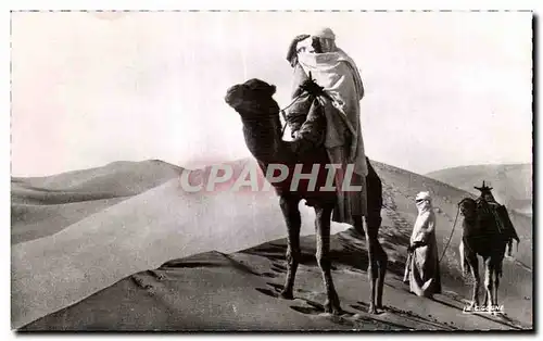 Cartes postales Algerie COLLECTION SAHARIENNE A la recherche de la piste camel Chameau