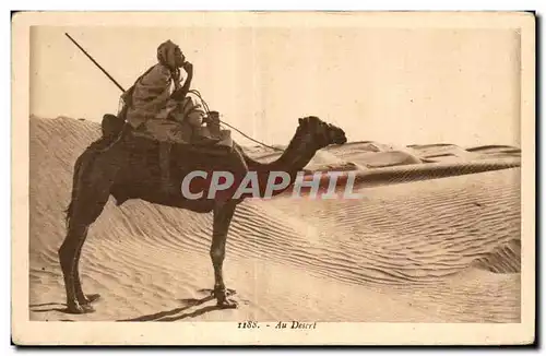 Ansichtskarte AK Algerie Au Desert Chameau Camel