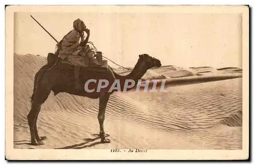 Cartes postales Algerie Au Desert Chameau Camel