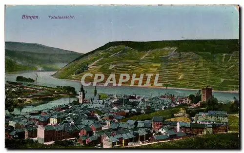 Cartes postales Bingen Totalansicht