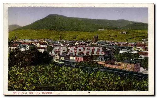 Cartes postales Neustadt An Der Haardt