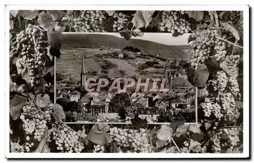 Cartes postales Neustadt a d Weinstrasse