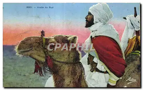 Ansichtskarte AK Algerie Arabe du Sud Chameau Camel
