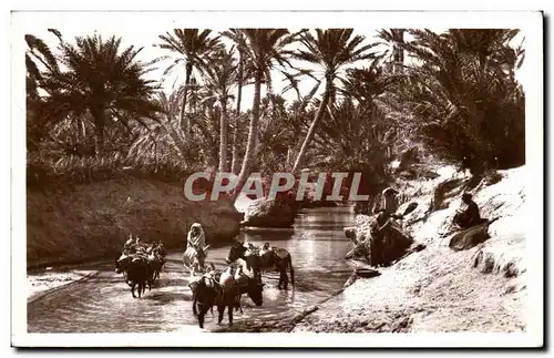 Cartes postales Scenes et Types Un Oued dans l Oasis