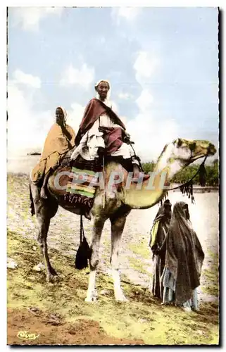 Ansichtskarte AK Algerie Chameau Camel Un Marabout