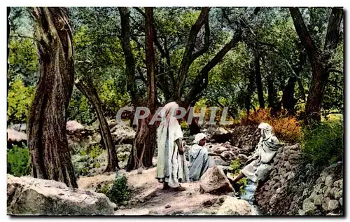 Ansichtskarte AK Algerie Scenes and Types d Afrique du Nord Dans une foret