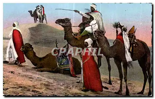 Cartes postales moderne Algerie Scenes   types Meharistes cherchant la piste a travers les dunes