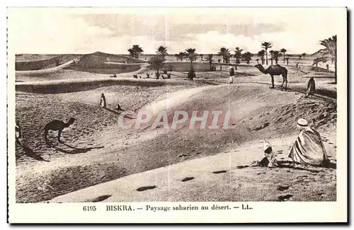 Cartes postales Algerie Env de Biskra - Payage saharien au desert