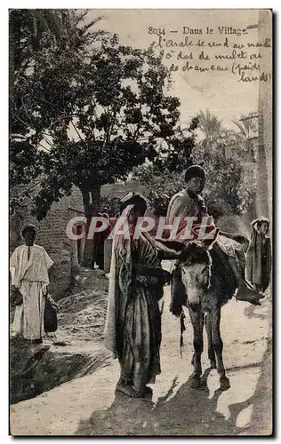 Cartes postales Algerie Dans le Village Ane Donkey Folklore