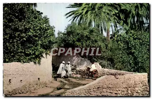 Cartes postales Algerie Scenes et Types- Bcu saada
