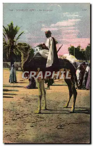 Ansichtskarte AK Algerie Scenes et types Un mehariste Chameau camel