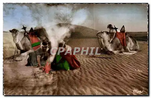 Cartes postales moderne Algerie Le Desert 1010 - La Halte Chameau Camel