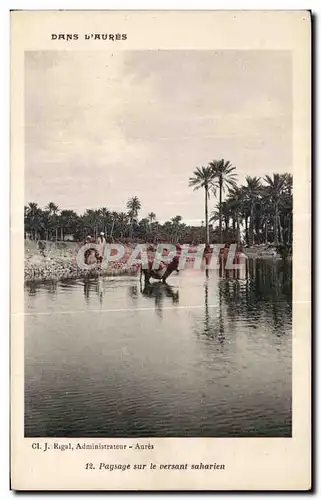 Ansichtskarte AK Algerie Paysage sur le versant saharien Ane donkey