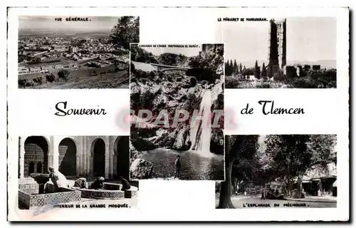 CPSL Algerie Tlemcen