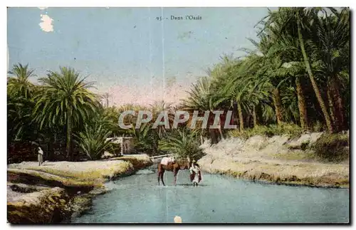 Cartes postales Algerie Dans I Oasis