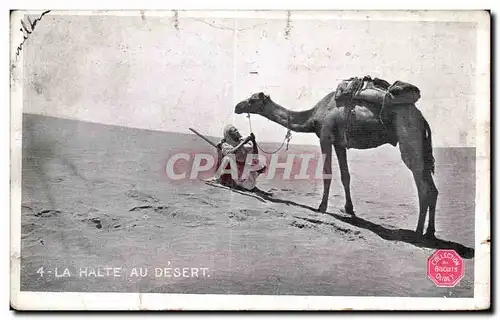 Ansichtskarte AK Algerie La Halte Au Desert Camel Chameau