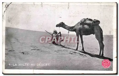 Cartes postales Algerie La Halte Au Desert Camel Chameau
