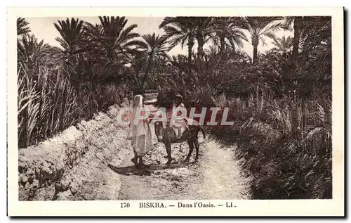 Ansichtskarte AK Algerie Biskra Dans I Oasis