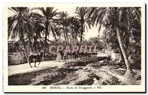 Cartes postales Algerie Biskra Route de Touggourt Chameau Camel
