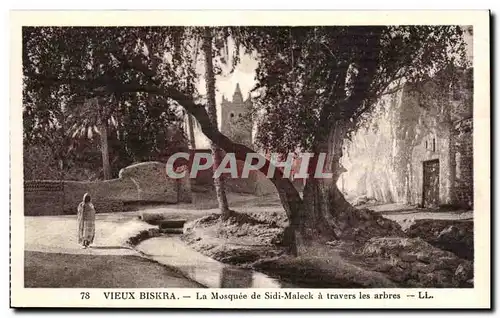 Cartes postales Algerie Vieux Biskra La Mosquee de Sidi Maleek a travers les arbres