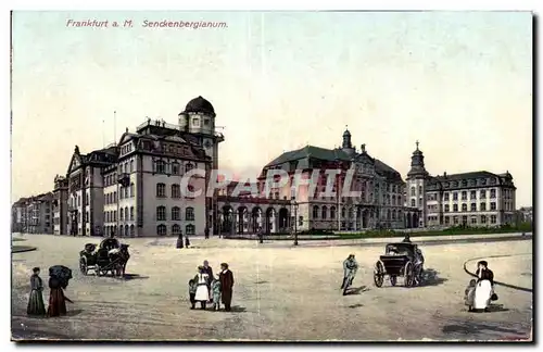 Cartes postales Frankfurt a M Senckenberginum