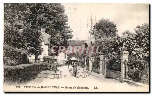 Cartes postales Tesse la madeleine route de bagnoles