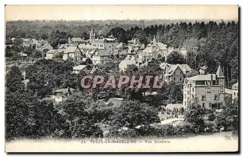 Cartes postales Tesse la madeleine vue generale