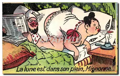 Cartes postales Fantaisie La lune est dans son plein Mignonne Humour