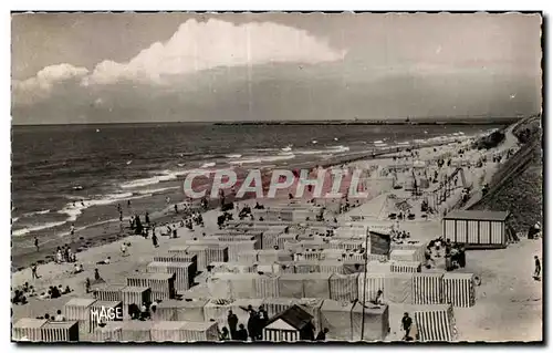 Cartes postales moderne LE PORTEL - La plage