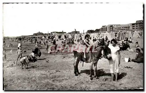 Cartes postales moderne BERCK-PLAGE - La Plage Ane Donkey