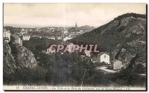 Ansichtskarte AK CHATEL-GUYON - La Ville et le Bois du Chalusset vue de Saint-Bonnel - LL