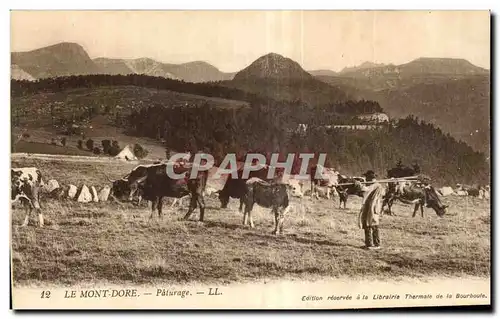 Ansichtskarte AK Le Mont Dore Paturage Berger Vaches