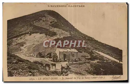 Cartes postales Le Mont Dore Le Sommet du Puy de Sancy (1886m d all) Ane donkey