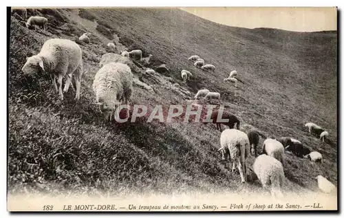 Ansichtskarte AK Le Mont Dore Un troupeau de moutons au Sancy Flock of sheep at the Sancy