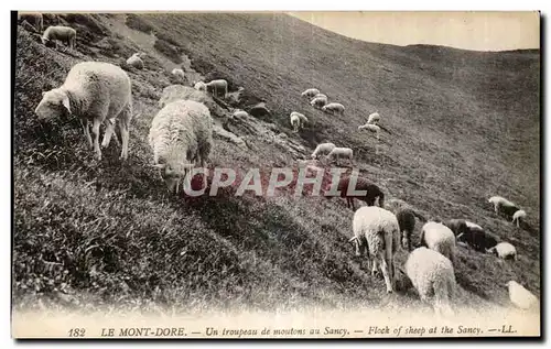 Cartes postales Le Mont Dore Un troupeau de moutons au Sancy Flock of sheep at the Sancy