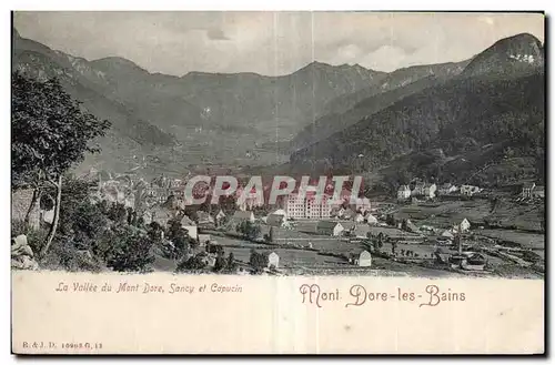 Cartes postales Le Mont Dore La vallee du Mont Dore Sancy et le Capucin