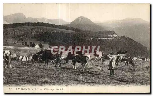 Ansichtskarte AK Le Mont Dore Paturage Berger Vaches