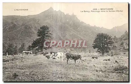 Cartes postales Le Mont Dore Le Sancy Paturage dans la Vallee d Enter Vaches