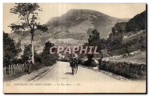 Cartes postales Le Mont Dore Le Puy Gros