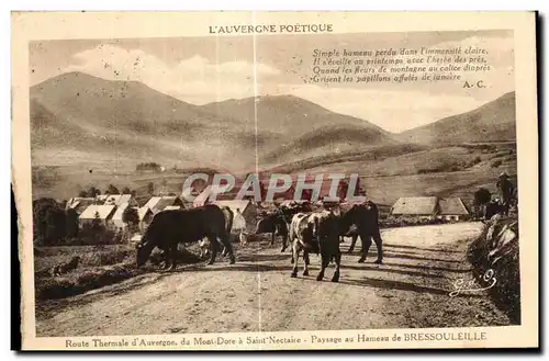 Ansichtskarte AK Le Mont Dore a Saint Nectaire Paysage au Hameau de BRESSOULEILLE