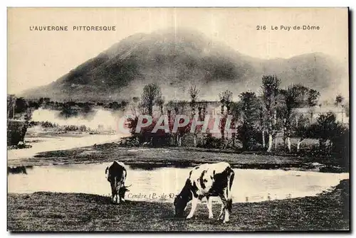 Ansichtskarte AK L Auvergne Pittoresque Le Puy de Dome Vaches