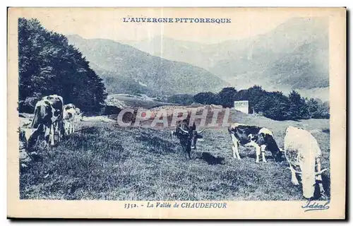 Ansichtskarte AK Auvergne Pittoresque Chaudefour Vaches